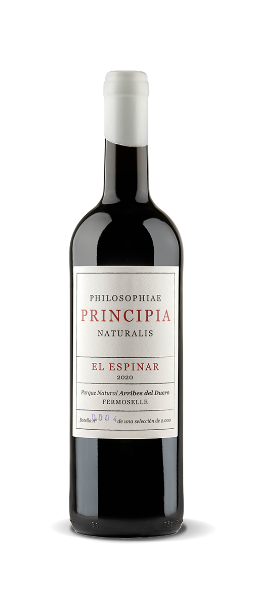 Principia-El-Espinar-frontal Principia El Espinar frontal