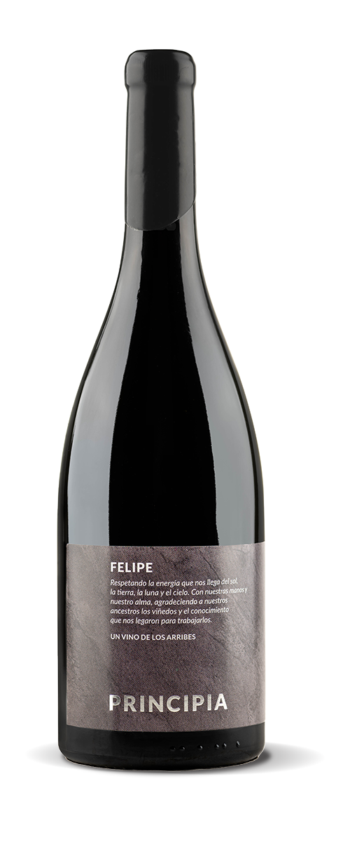 Principia-Felipe-botella-75-cl-frontal Principia Felipe botella 75 cl frontal