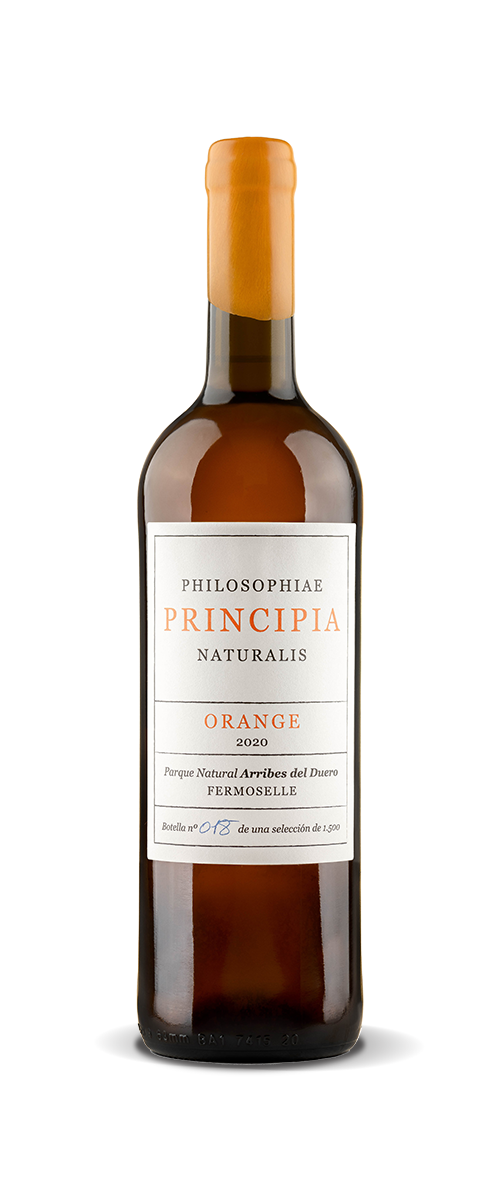 Principia-Orange-frontal Principia Orange frontal